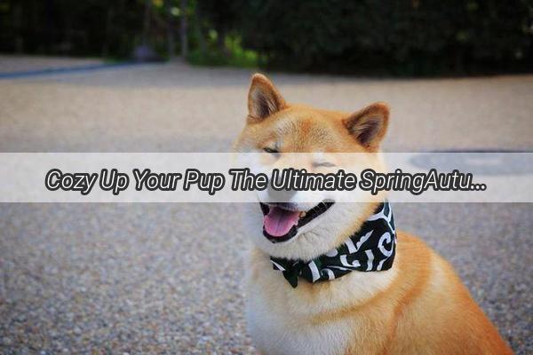 Cozy Up Your Pup The Ultimate SpringAutumn Dog Clothing with AntiFur Features